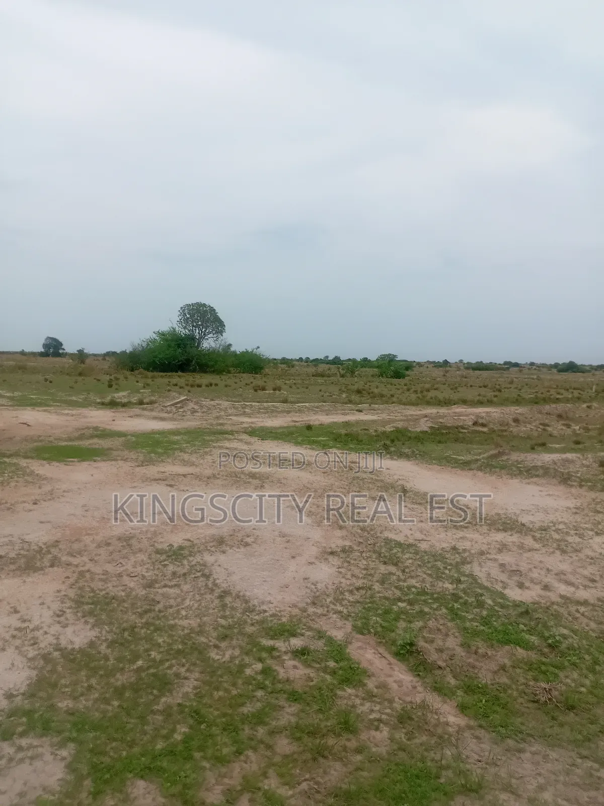 Very Flat and Nice Land for Sale at Tsopoli
