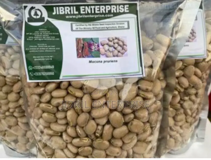 White Mucuna Pruriens, White Velvet Beans