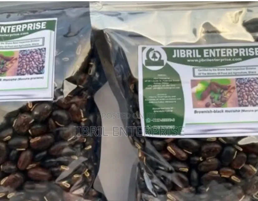 Brownish-Black Mucuna Pruriens, Velvet Beans