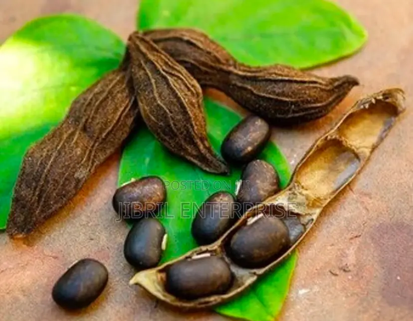 Brownish-Black Mucuna Pruriens, Velvet Beans