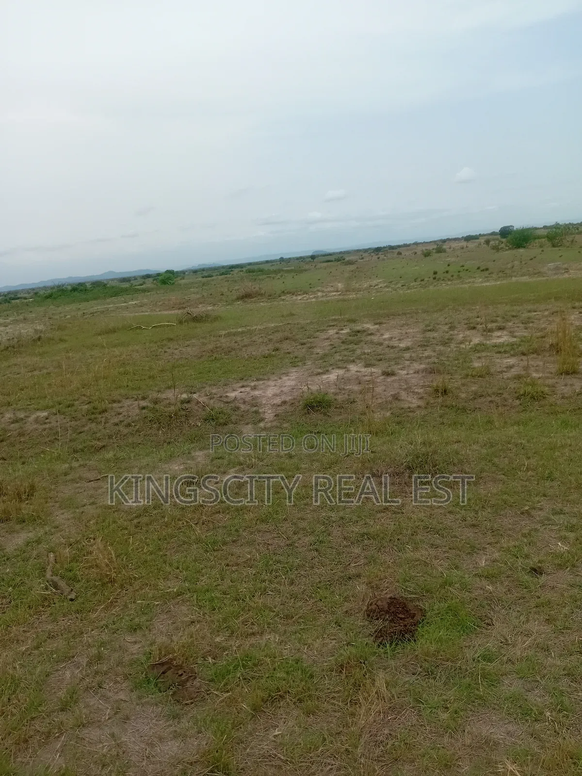 Neat and Flat Plots for Sale at Tsopoli