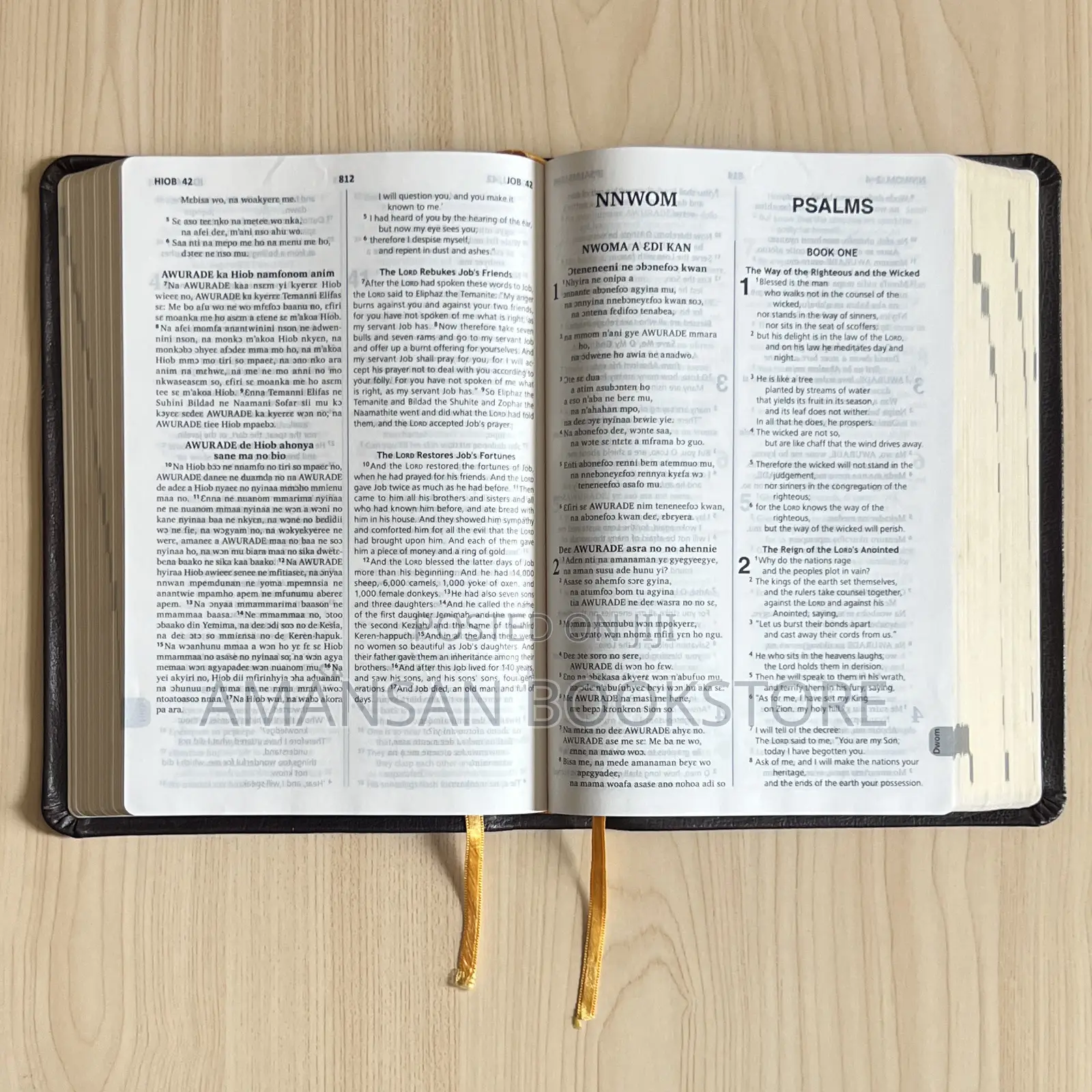 English-Twi Parallel Bible (Asante Twi + Esv)