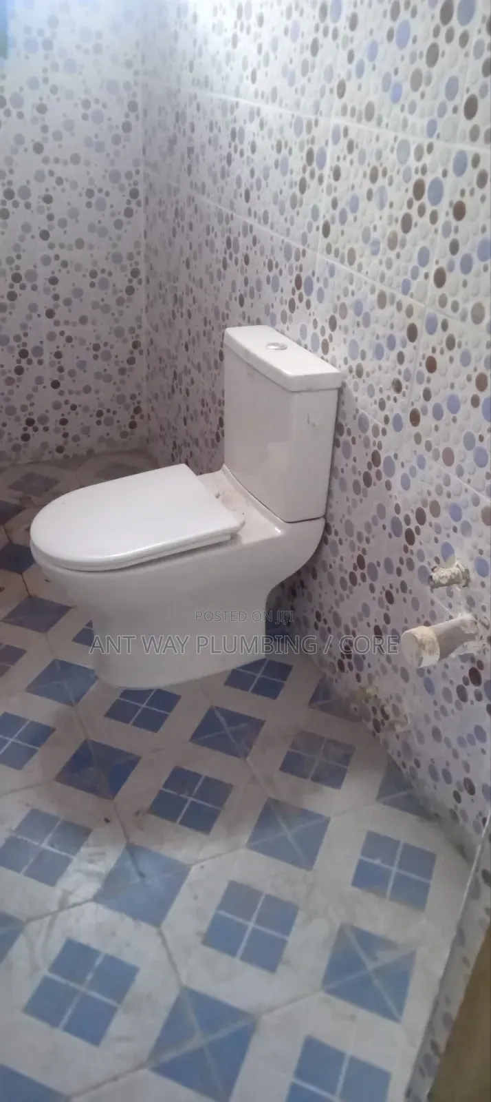 Professional Plumbers