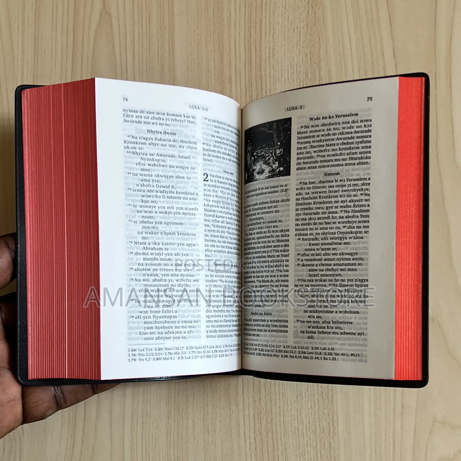 Akuapem Twi Bible (Small)