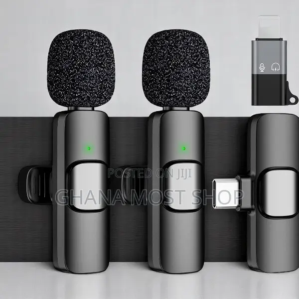 Portable/Mini/Wireless Microphone