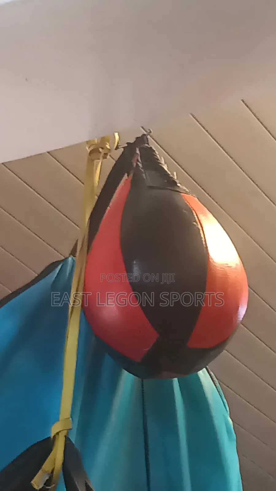 Everlast Professional Boxing Speed Ball Punch Ball