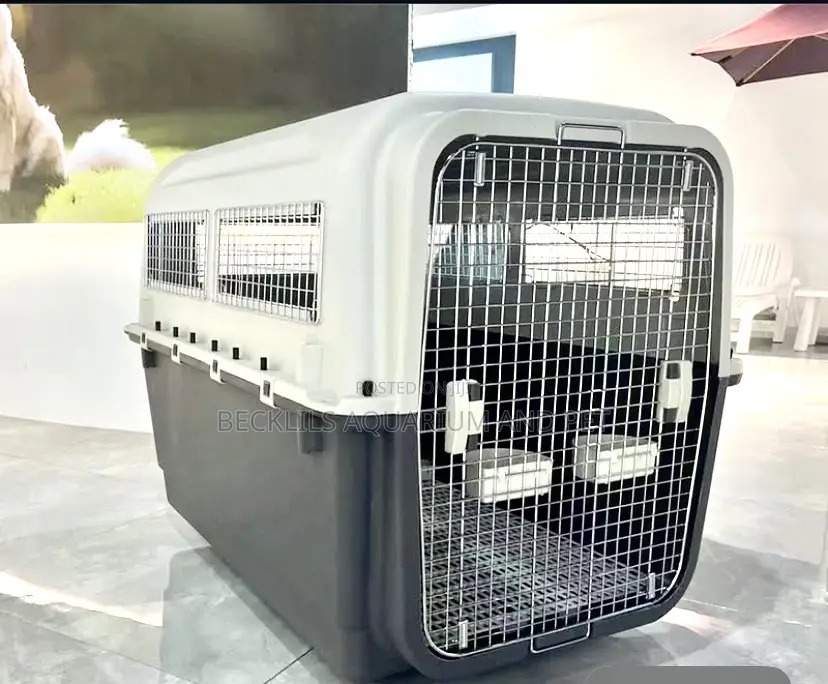 XXXL Plastic Carrier for Dogs N Cat