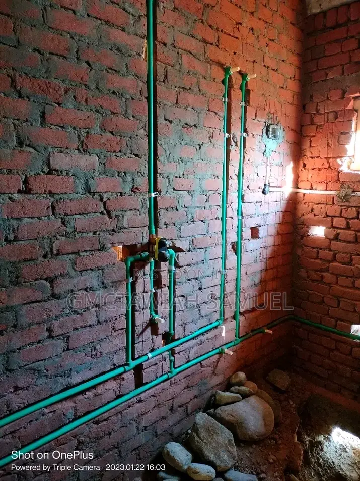 Professional Plumber