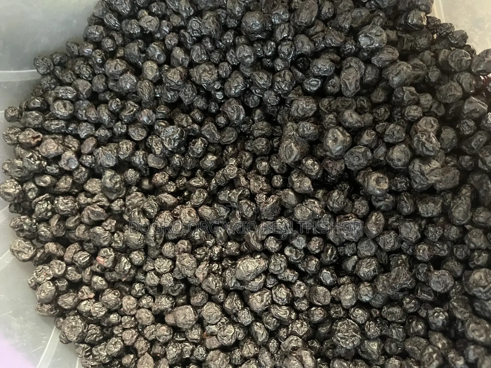 Dried Blueberry Fruits