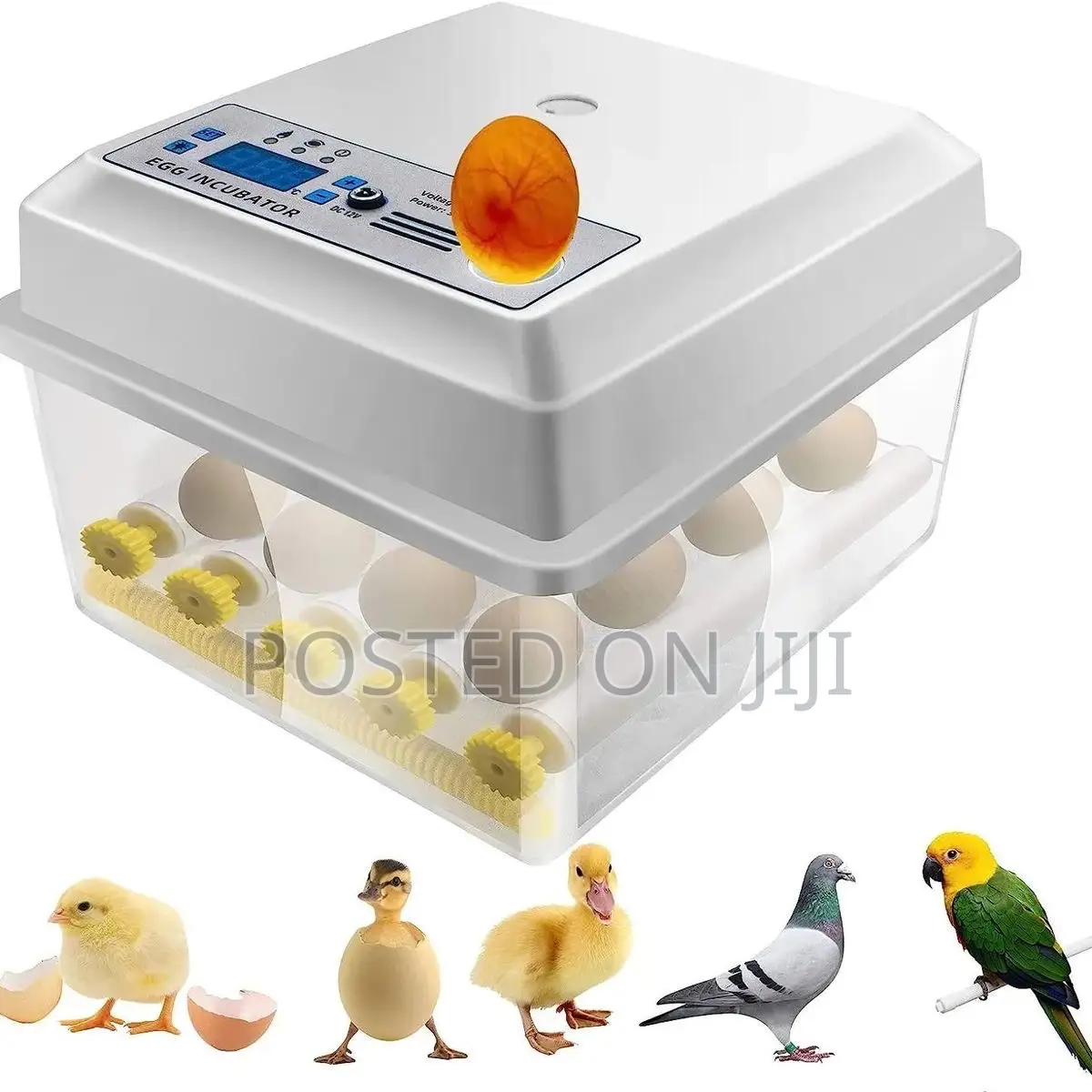 64 Eggs Incubators