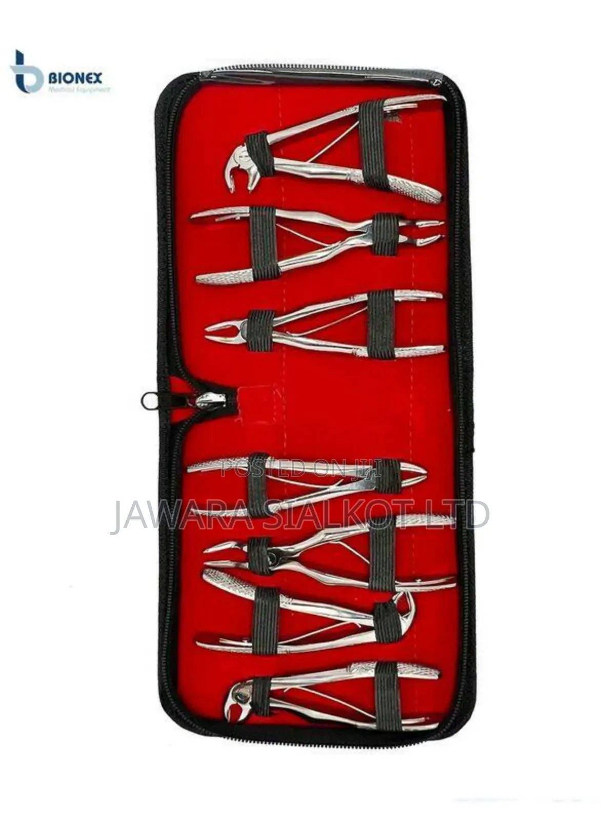 Dental Extraction Forcep Stainless Steel