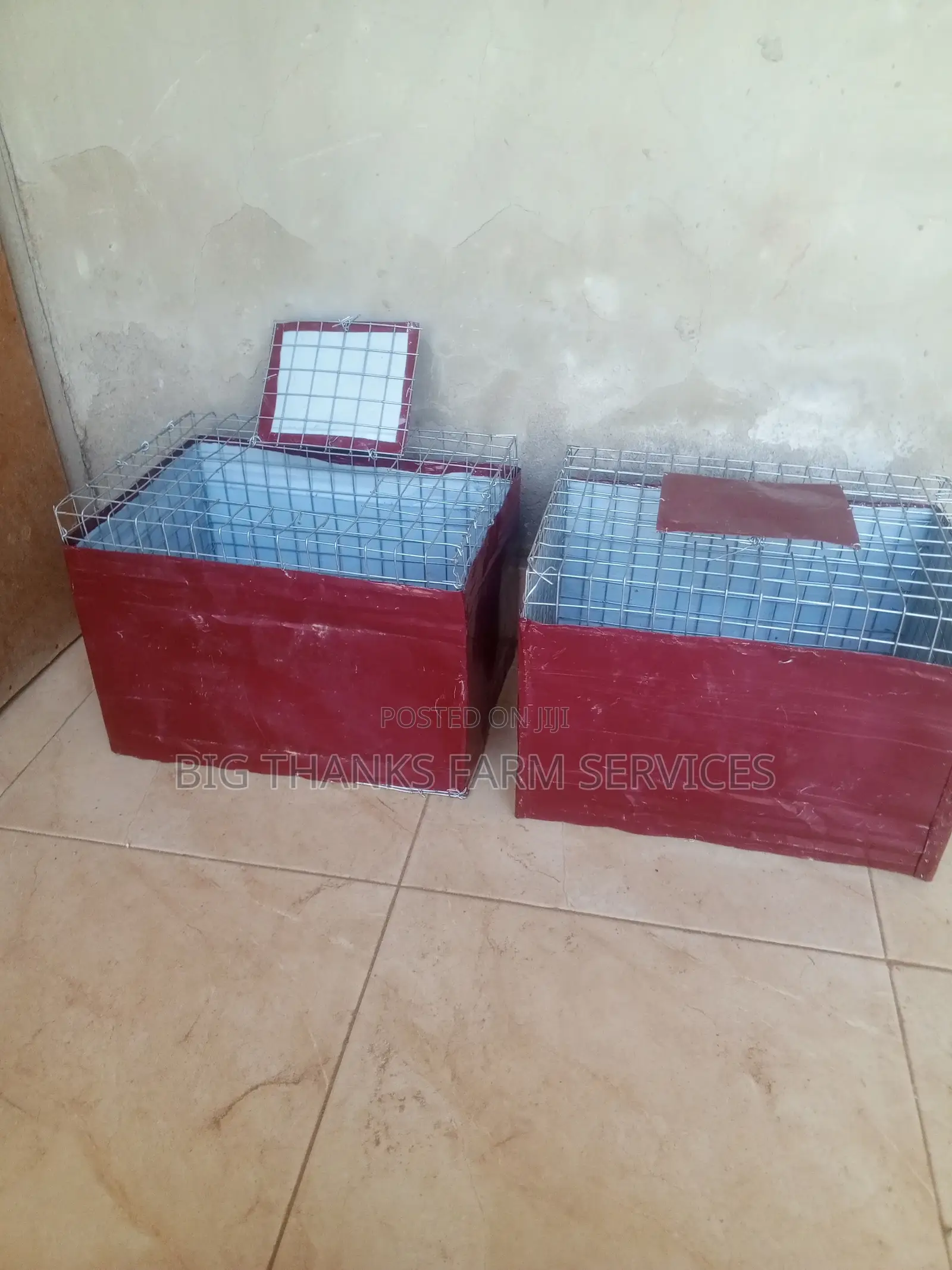 Grasscutter/Rabbit Transporting Cages