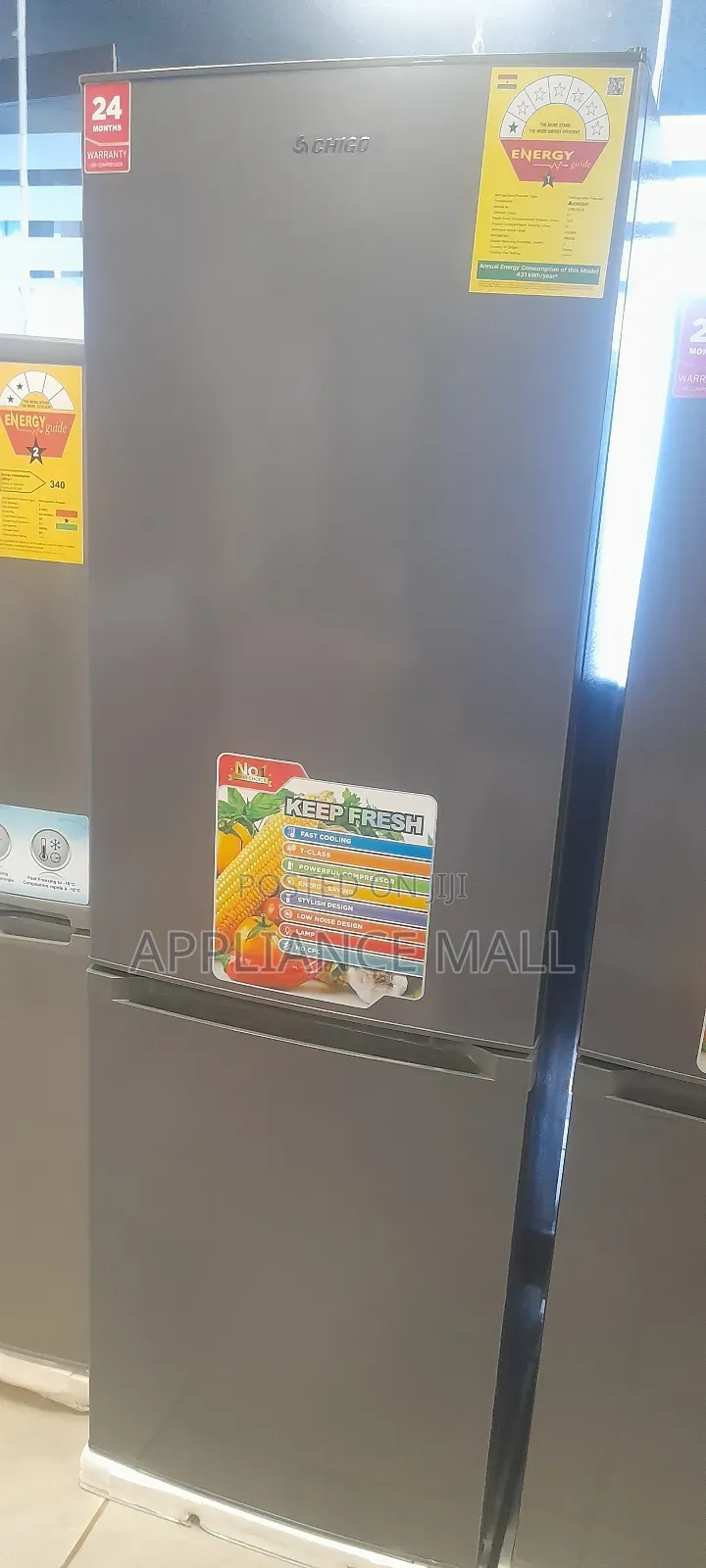 Chigo Fridge (250l)