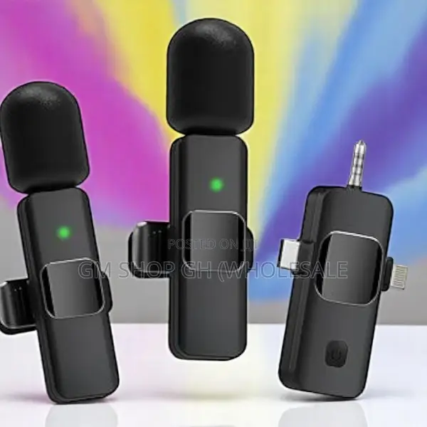 Portable/Mini/Wireless Microphone