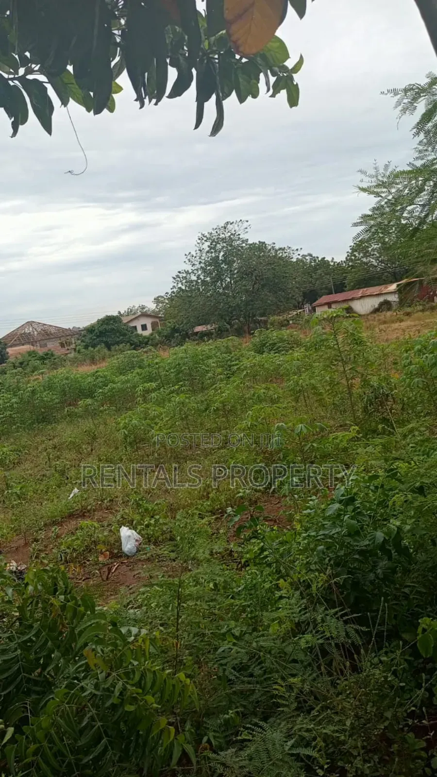 100 X 70 Plots of Land Forbl Sale