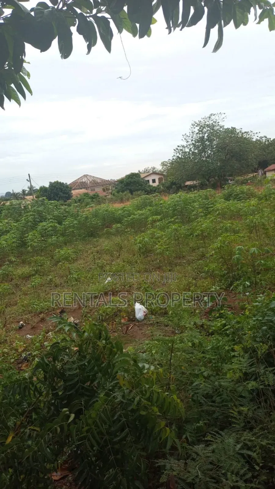 100 X 70 Plots of Land Forbl Sale