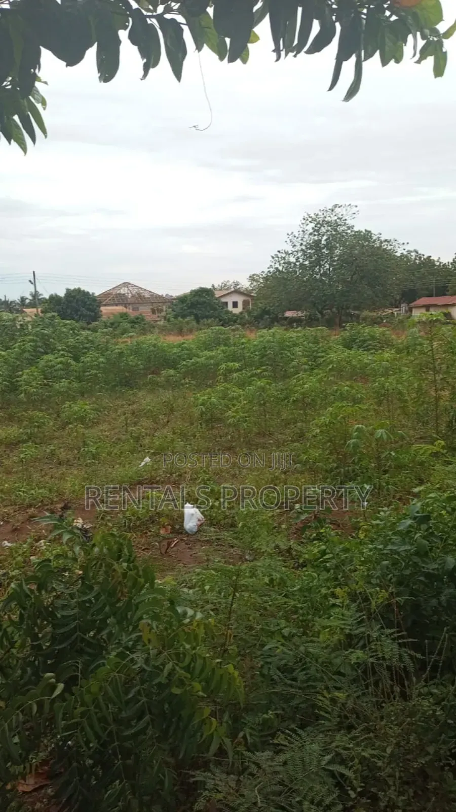 100 X 70 Plots of Land Forbl Sale