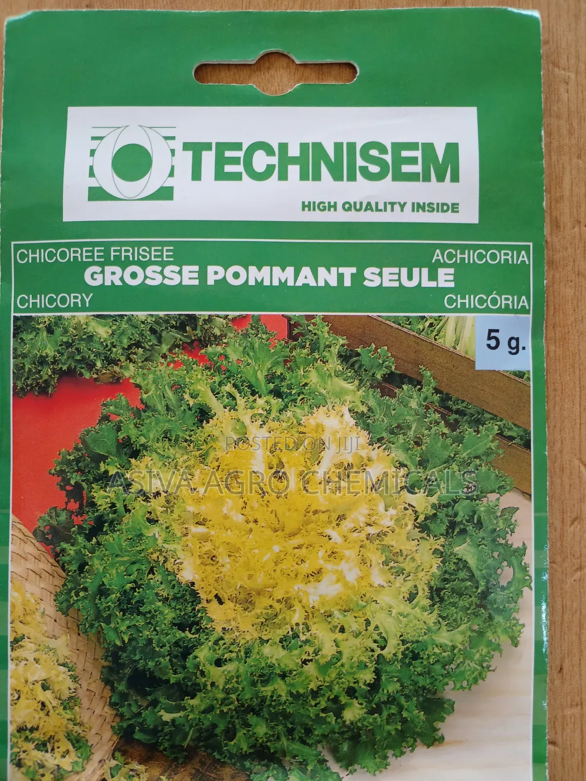 Chicory Seeds