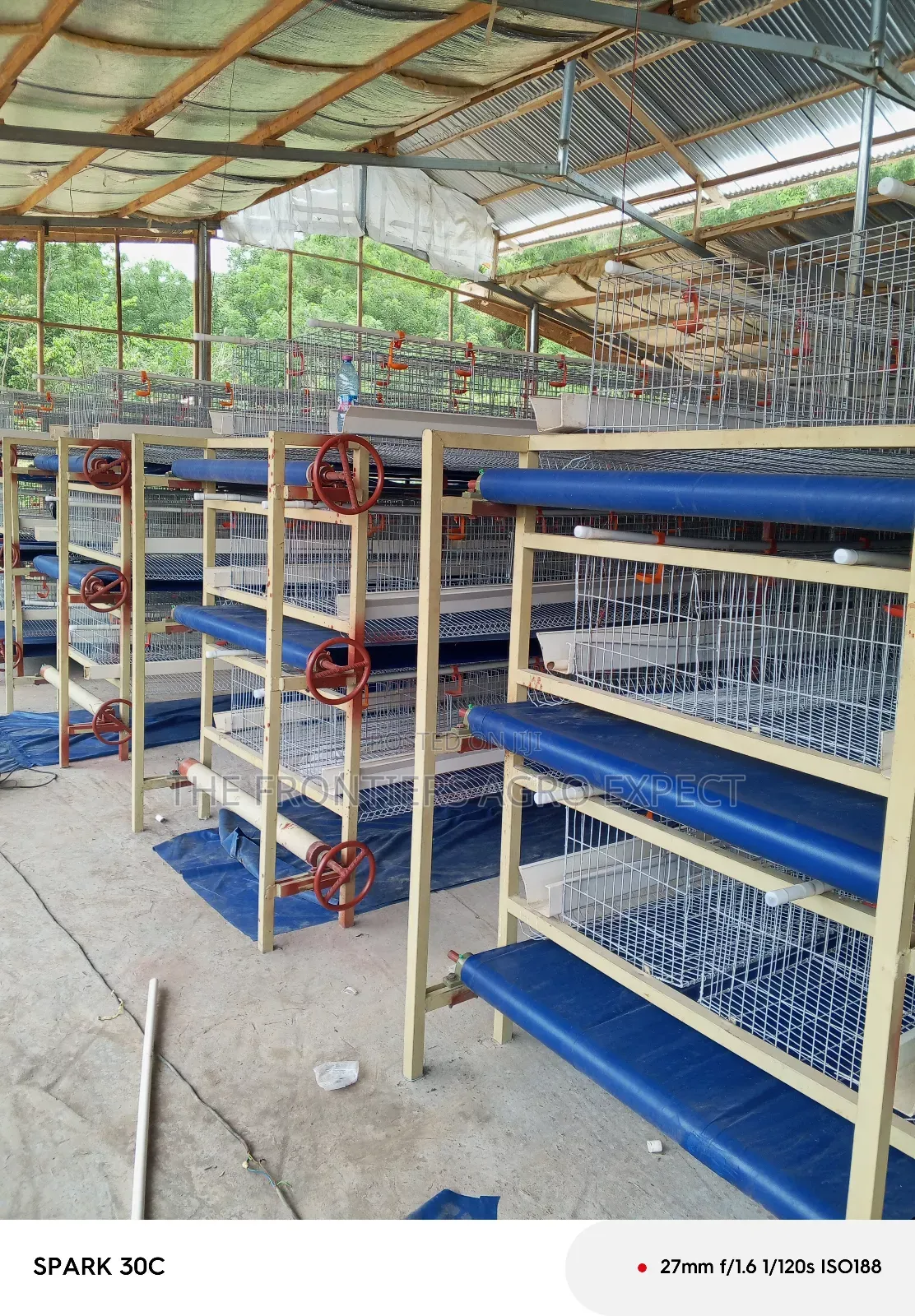 Poultry Coop and Cage Setup