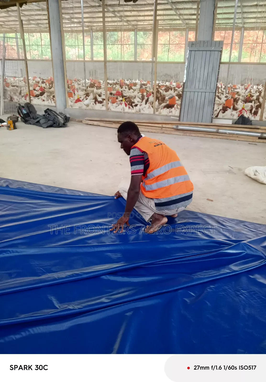 Poultry Coop and Cage Setup