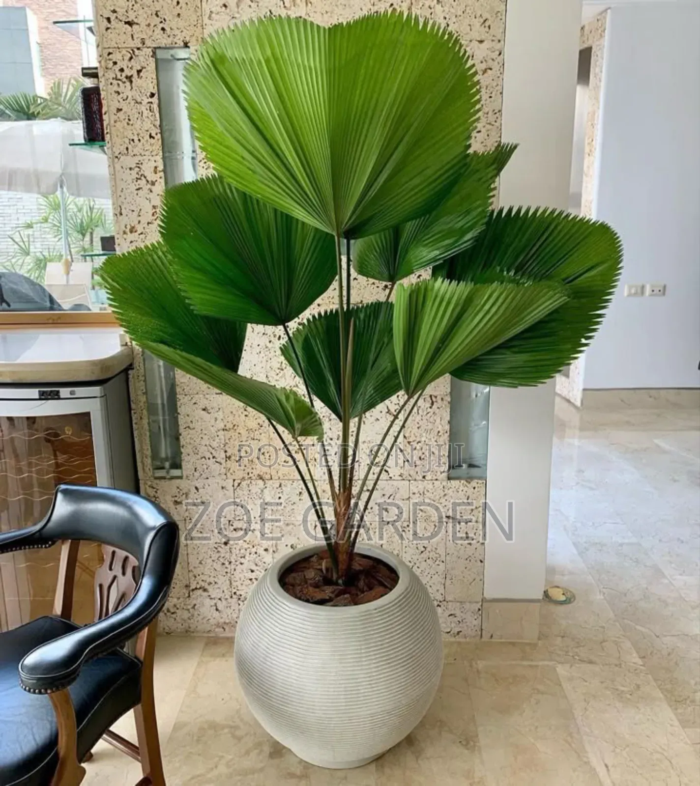 Exotic Plants