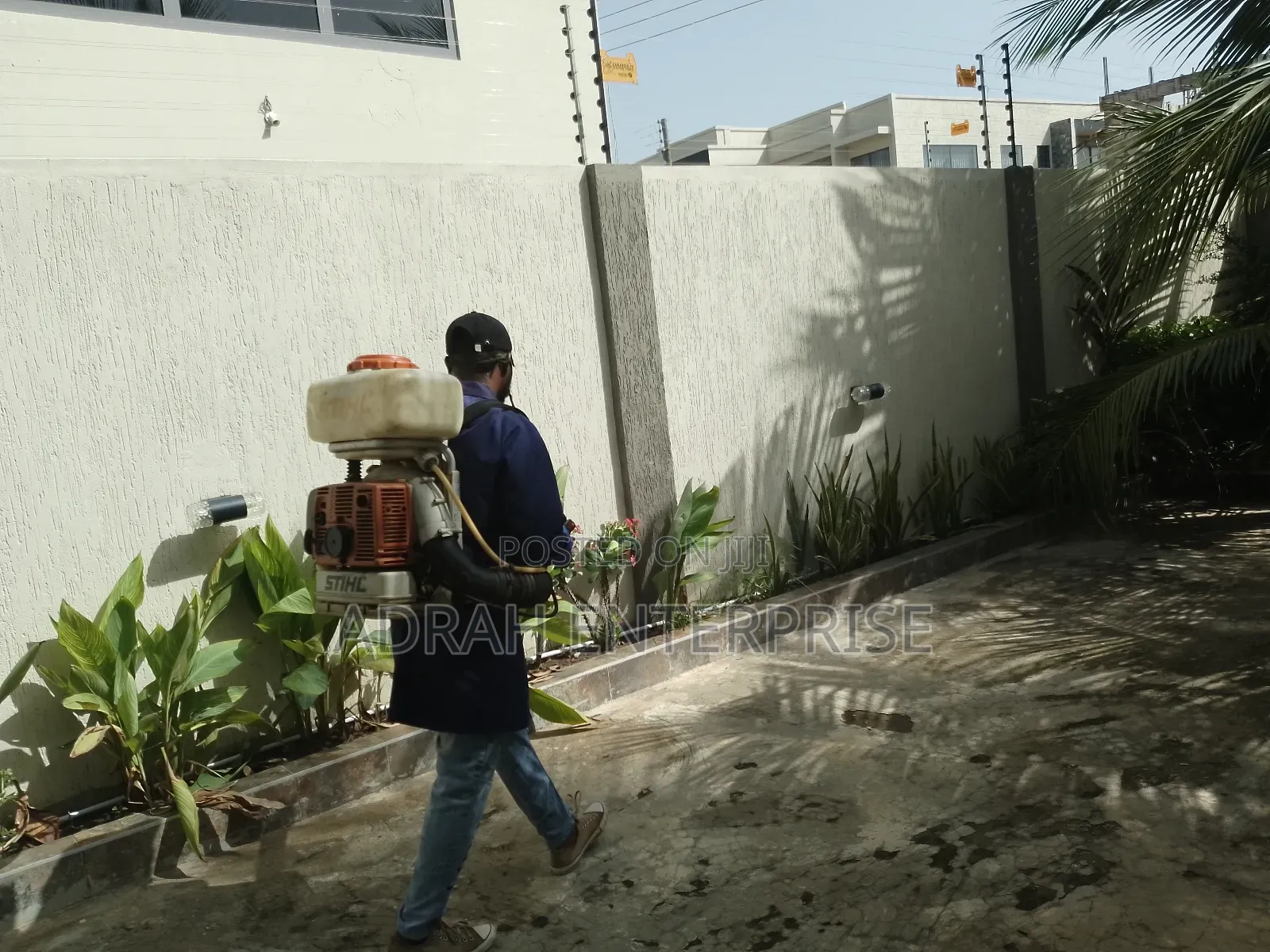 Best Fumigation Service and Pest Control