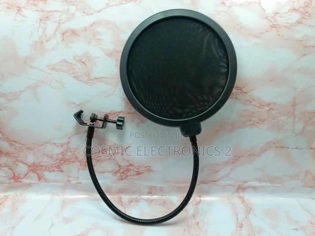 Professional Condenser Microphone.