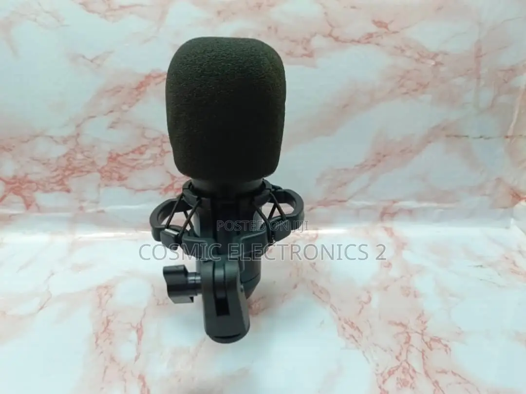 Professional Condenser Microphone.