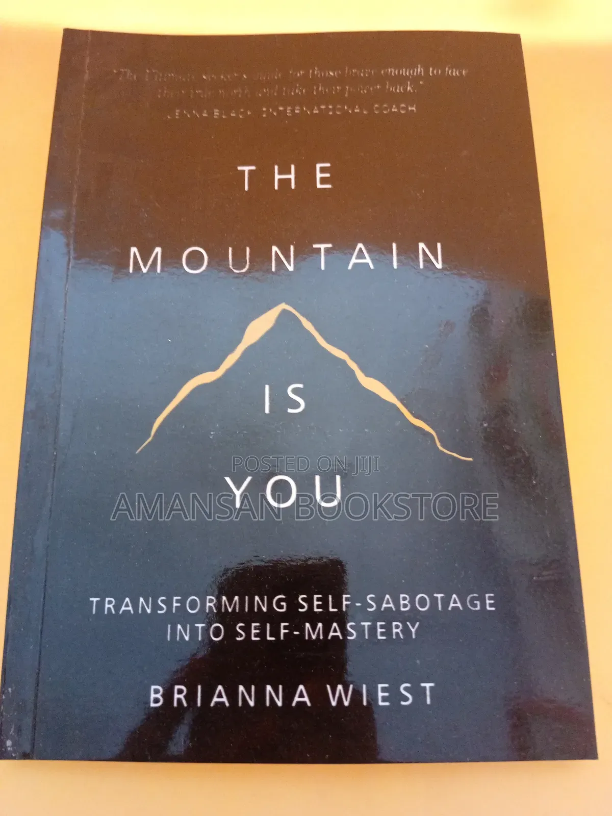 The Mountain Is You