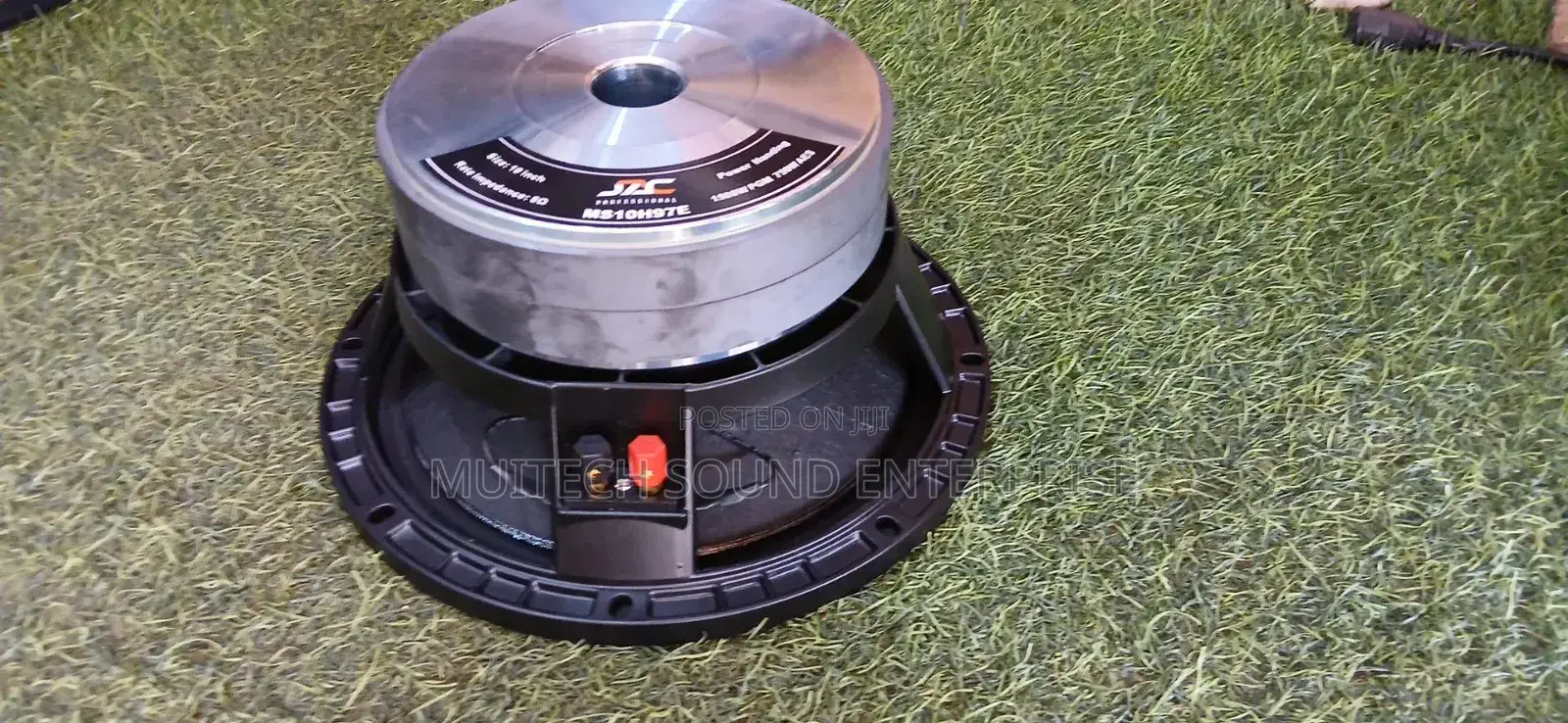 Jac '10' Inches Naked Speaker