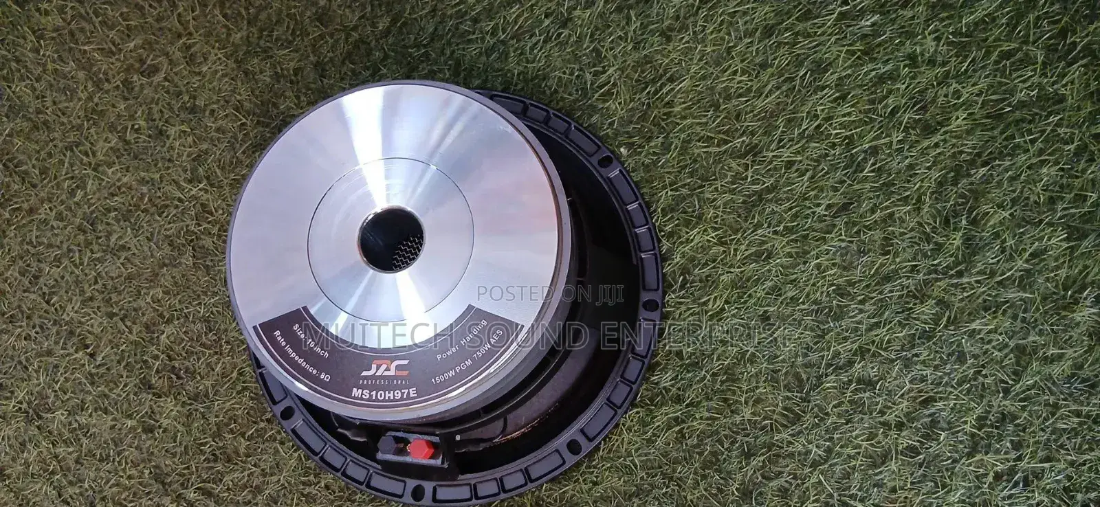Jac '10' Inches Naked Speaker