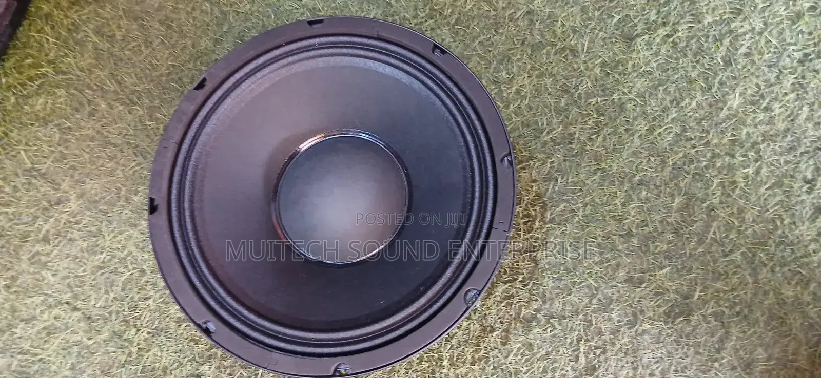 Jac '10' Inches Naked Speaker