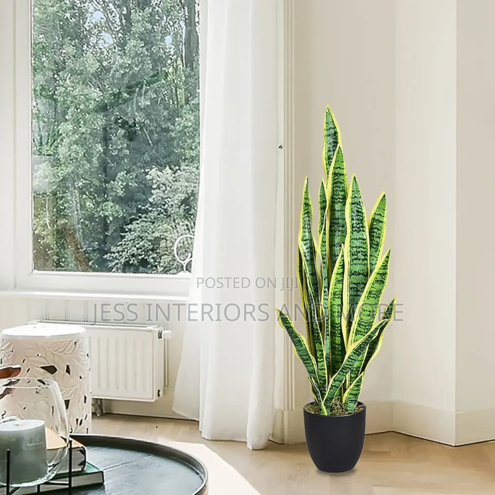 Artificial Plant (Snake Plant)