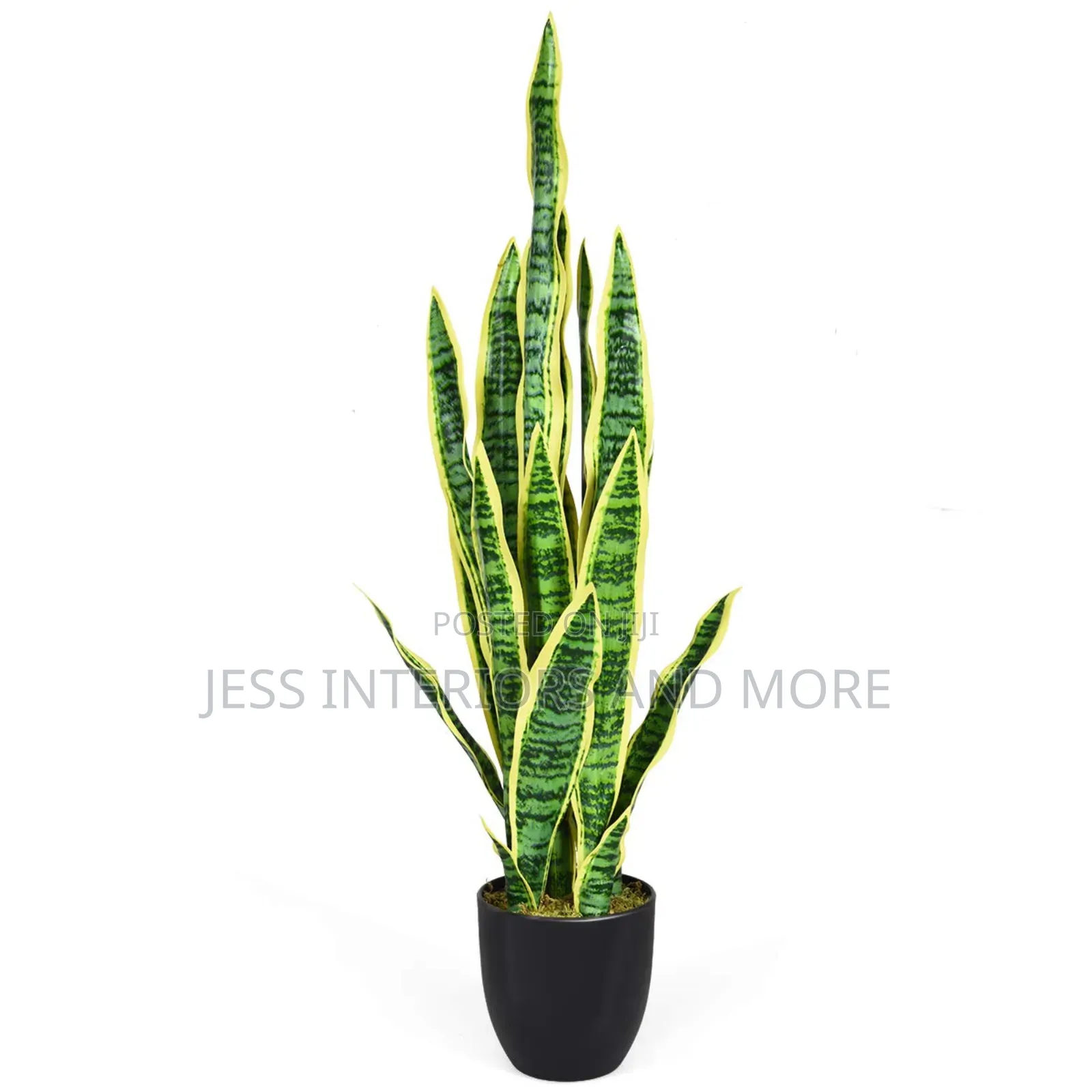 Artificial Plant (Snake Plant)