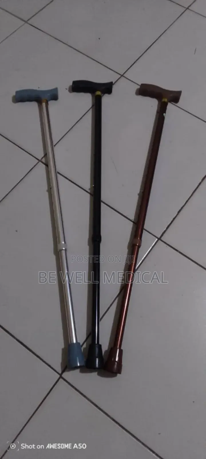 Walking Stick