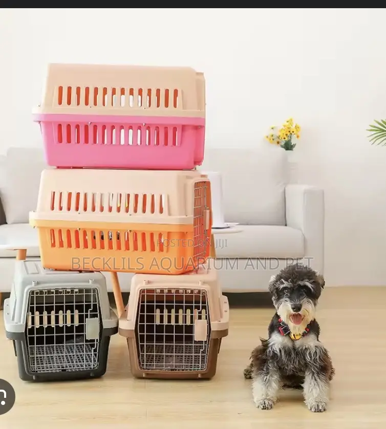 Approved Flight Plastic Dog Crate