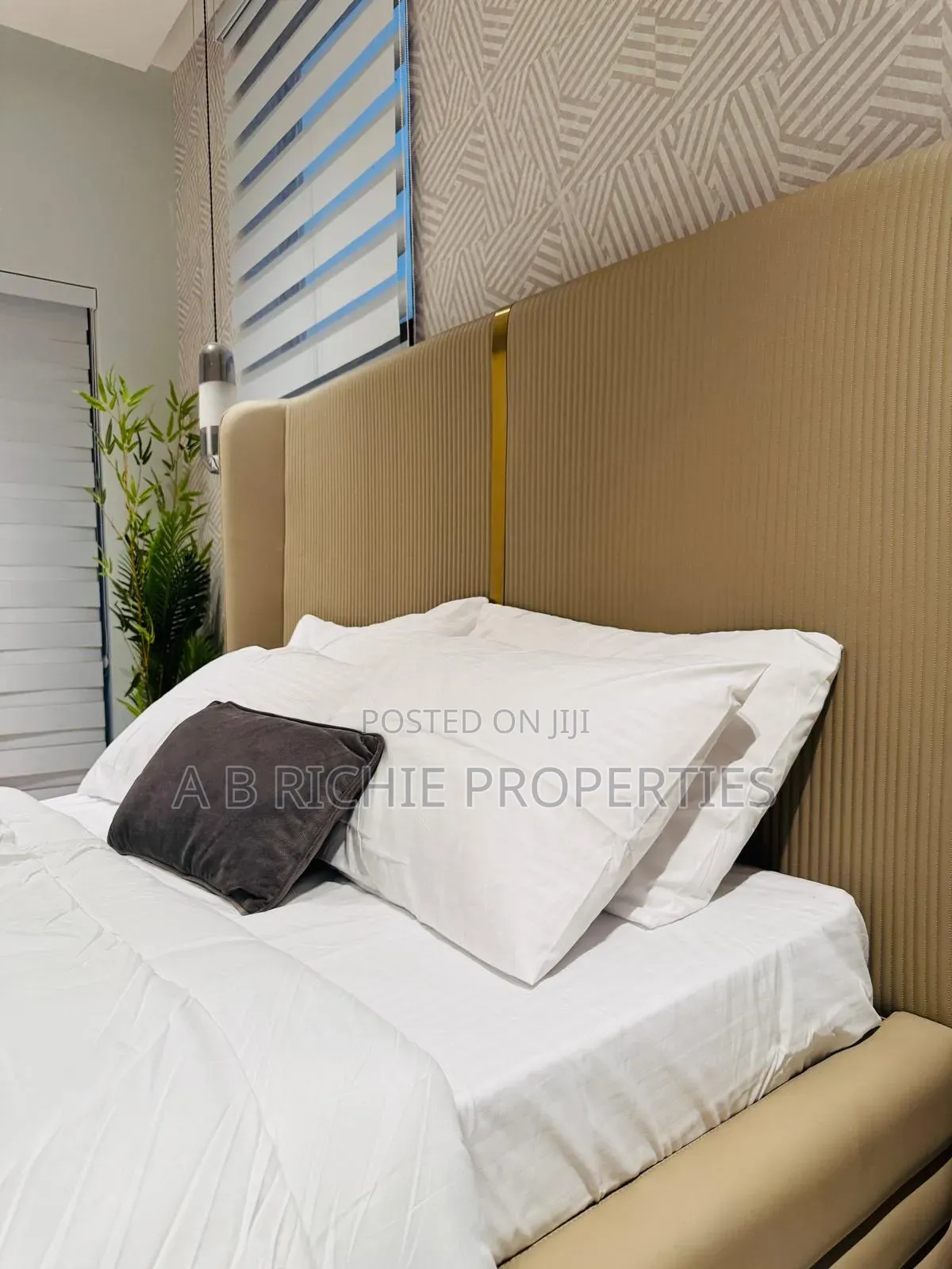 Furnished 2bdrm Apartment in Ab Richie Properties, East Legon for rent