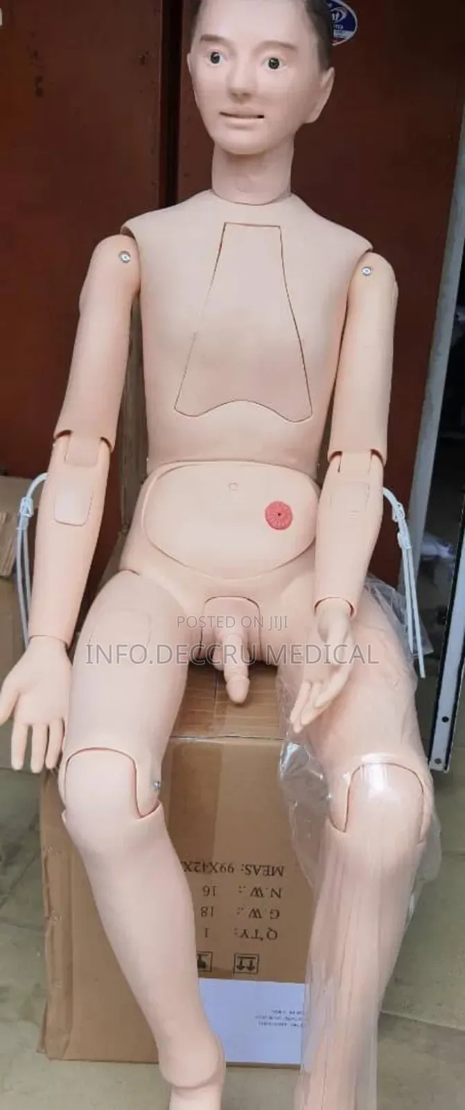 Dummy (Manikin Full)