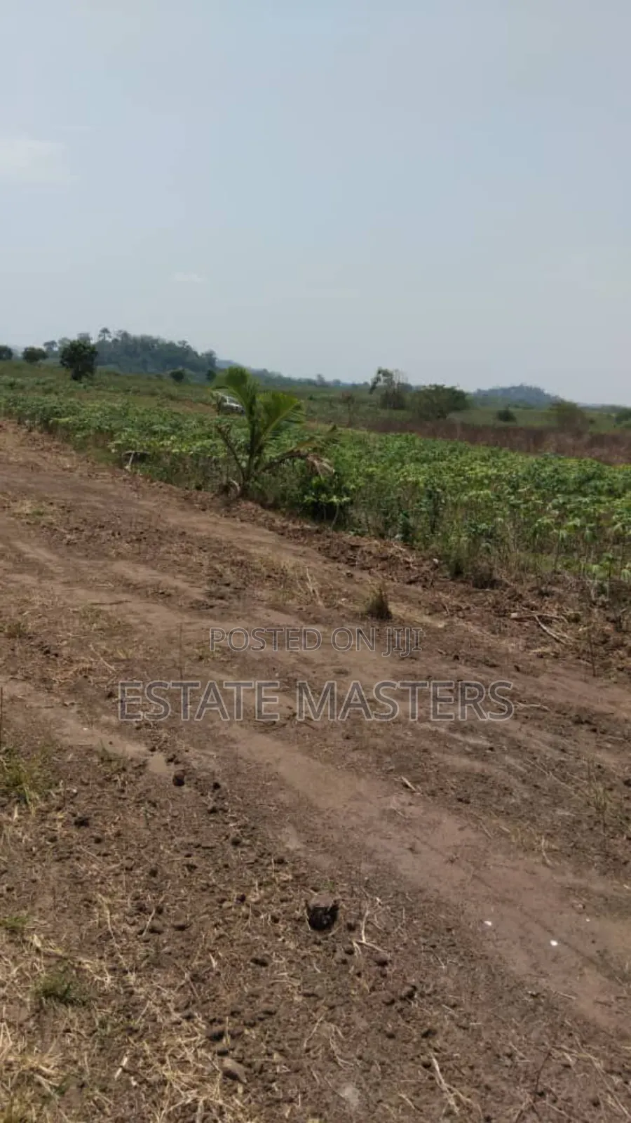 Grab a Well Demarcated Land Now