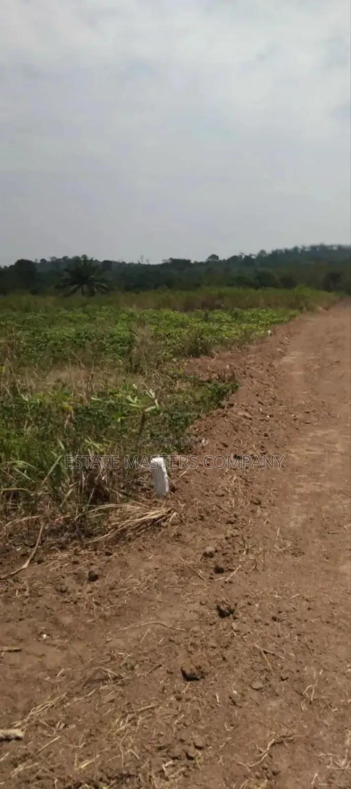 Panfokrom Land With Good Road and Network