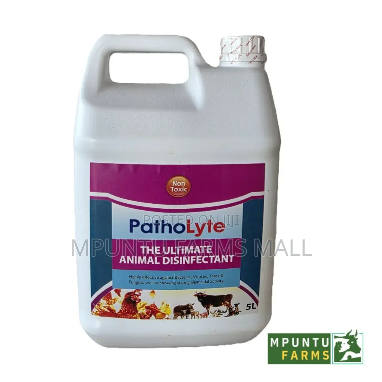 Patholyte Disinfectant 5ltrs