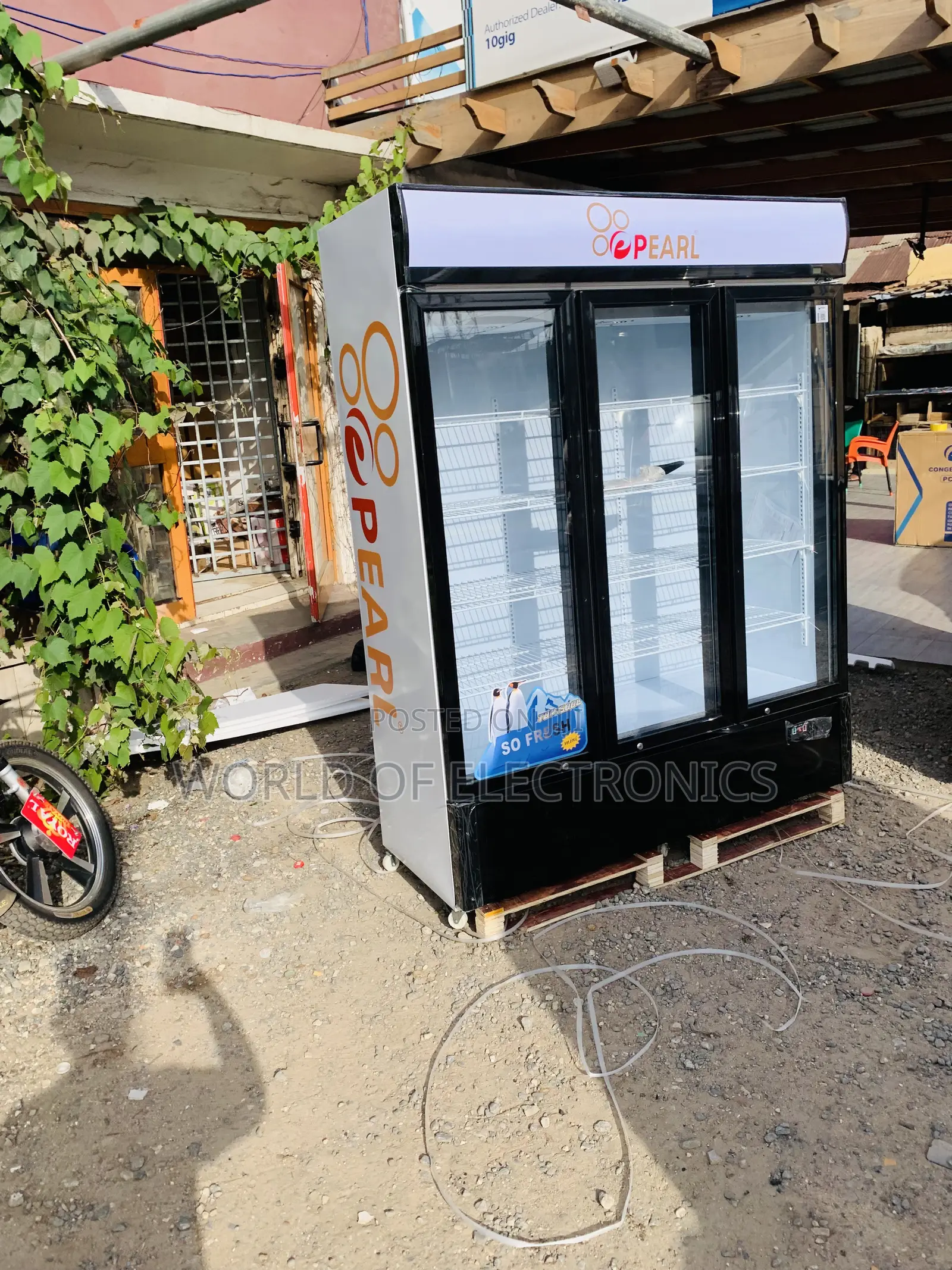 PVC-1540-28ab 780l Pearl Display Fridge White