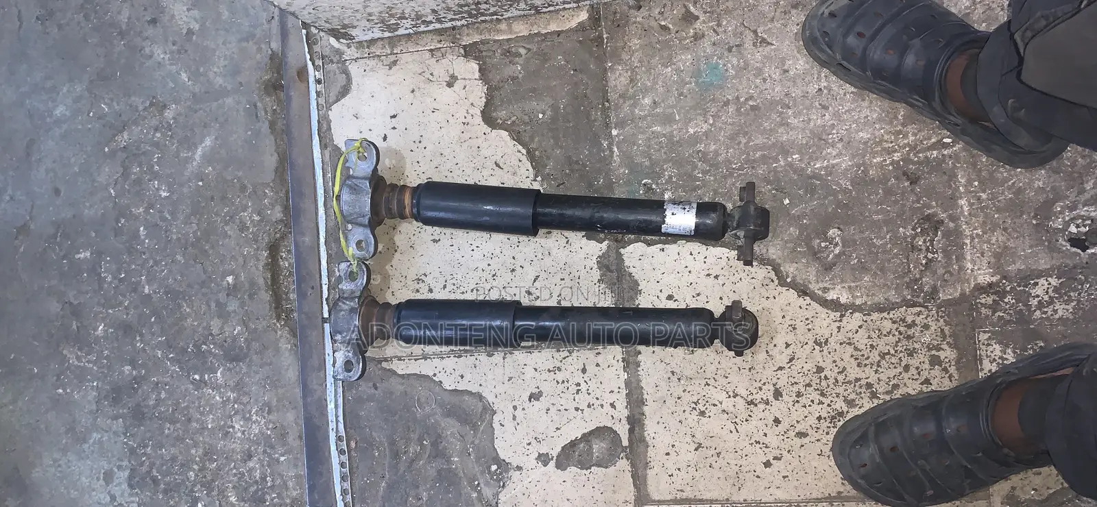 Ford Fusion 2013-2020 Back Shock Absorbers