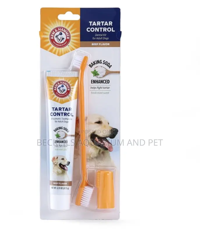 Dog and Cat Dental Care Kit
