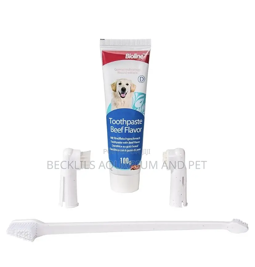 4 in 1 Dental Care for Dogs and Cat