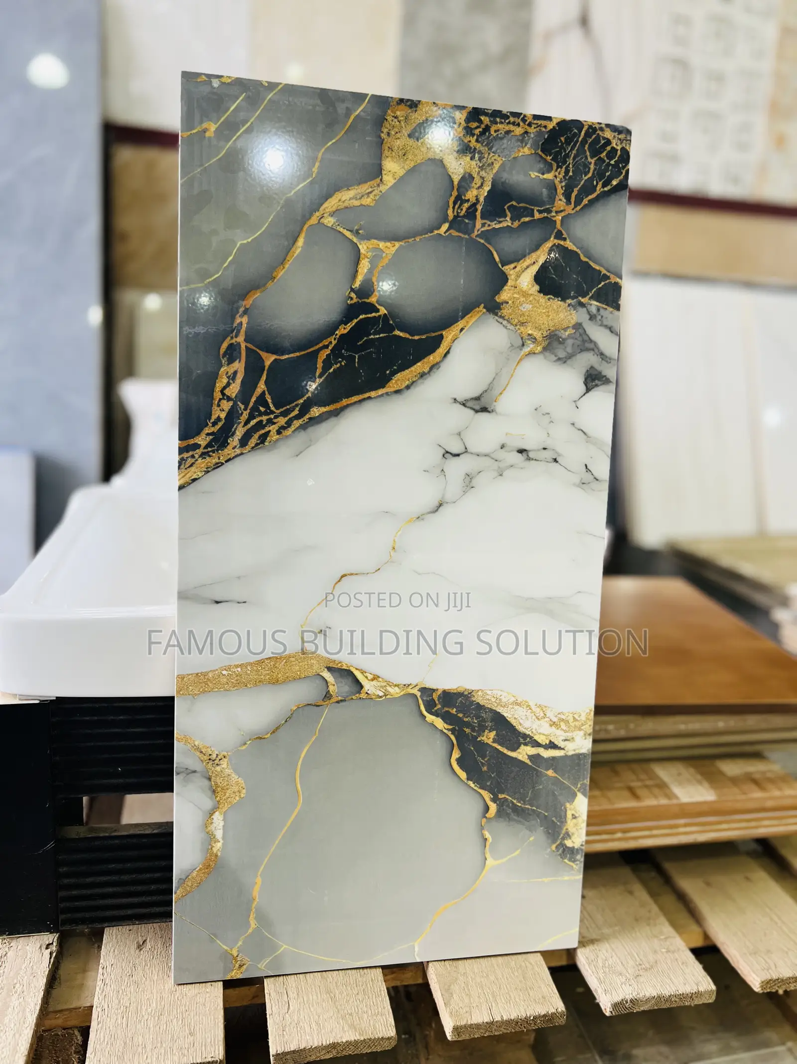 Polished Wall Tiles (30/60)