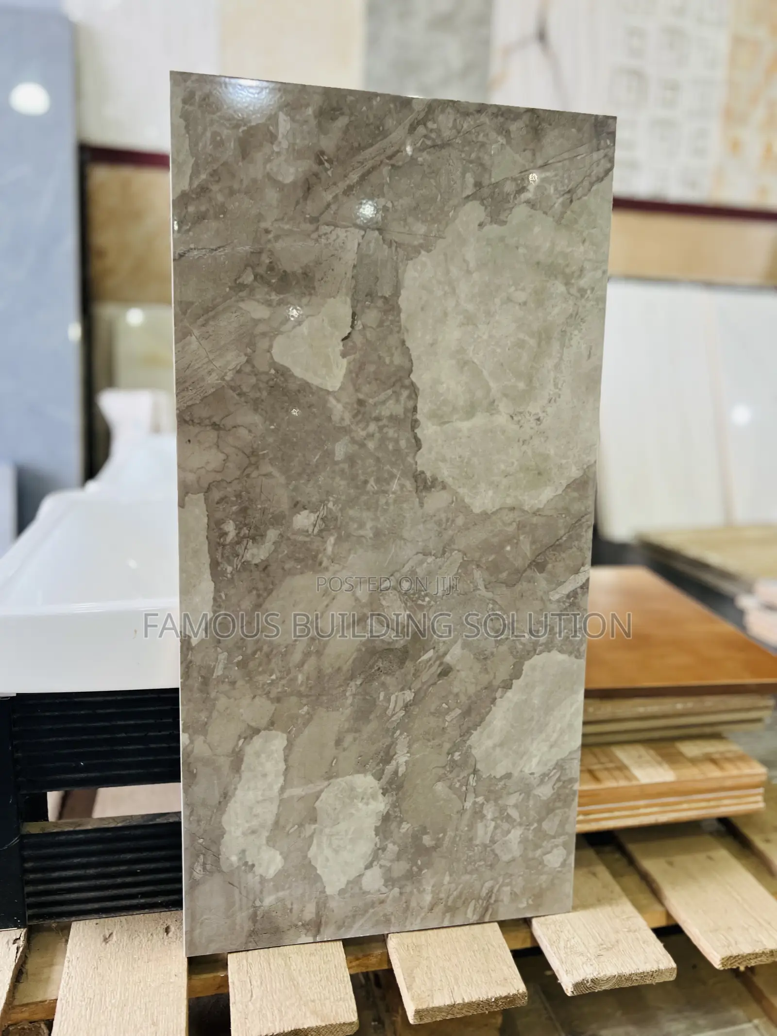 Polished Wall Tiles (30/60)