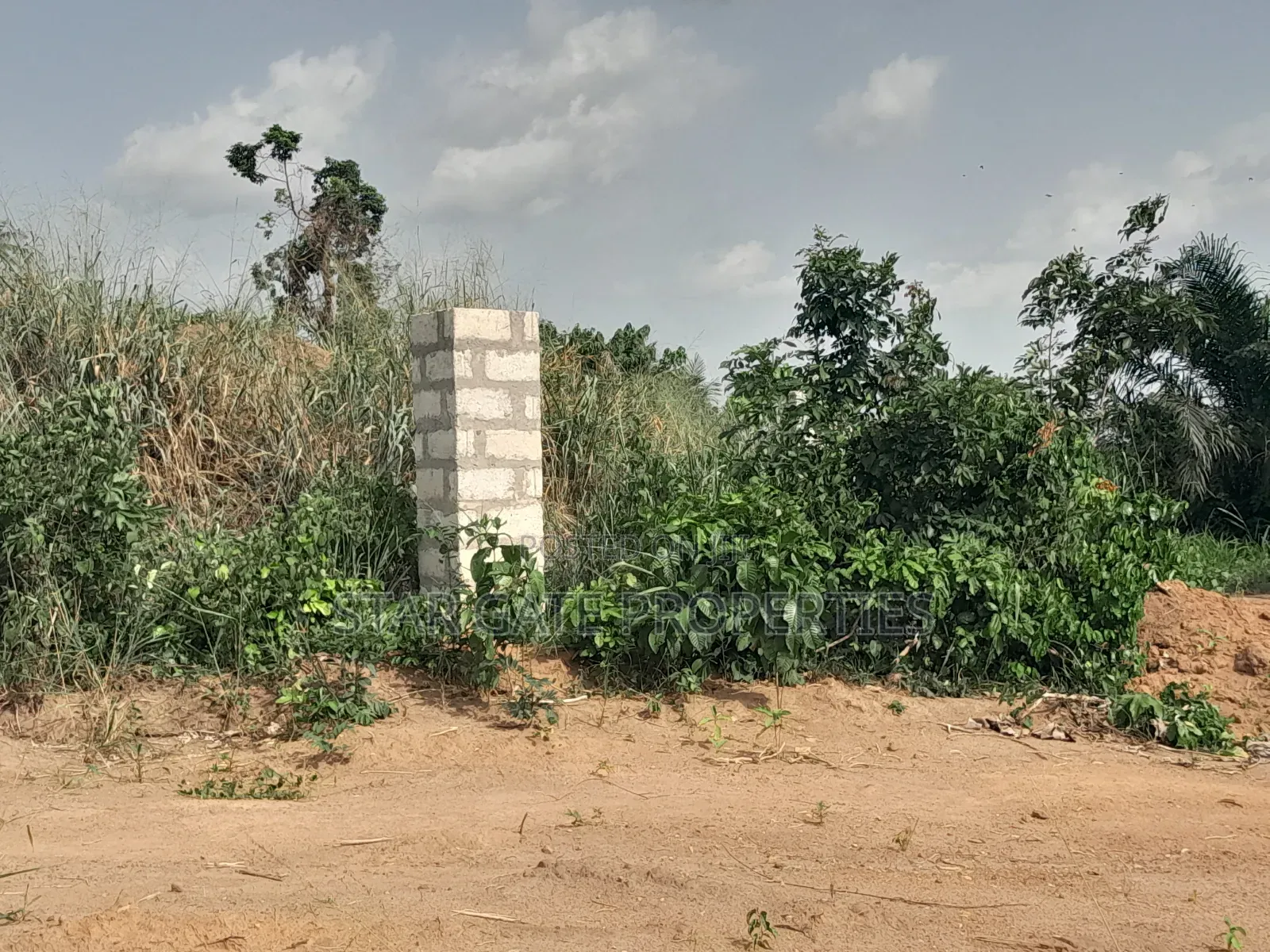 4 Plots ( 1 Acre Land) for Sale at Sewua.