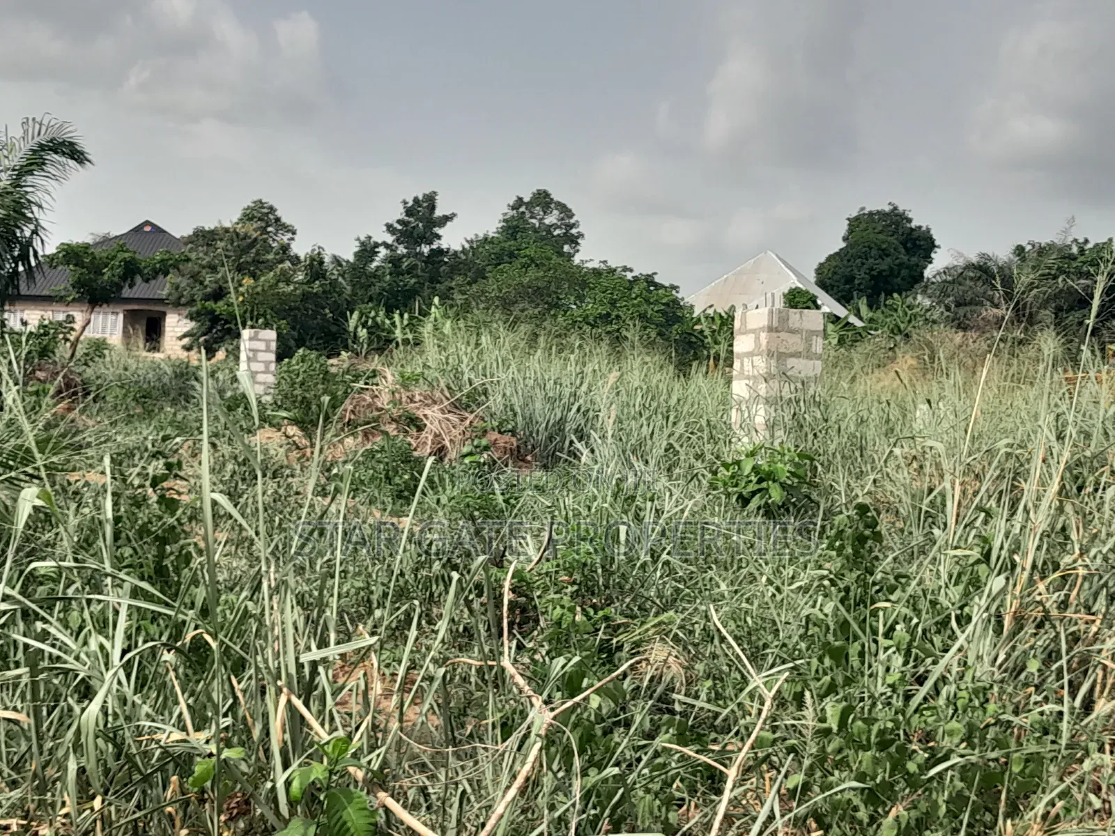 4 Plots ( 1 Acre Land) for Sale at Sewua.