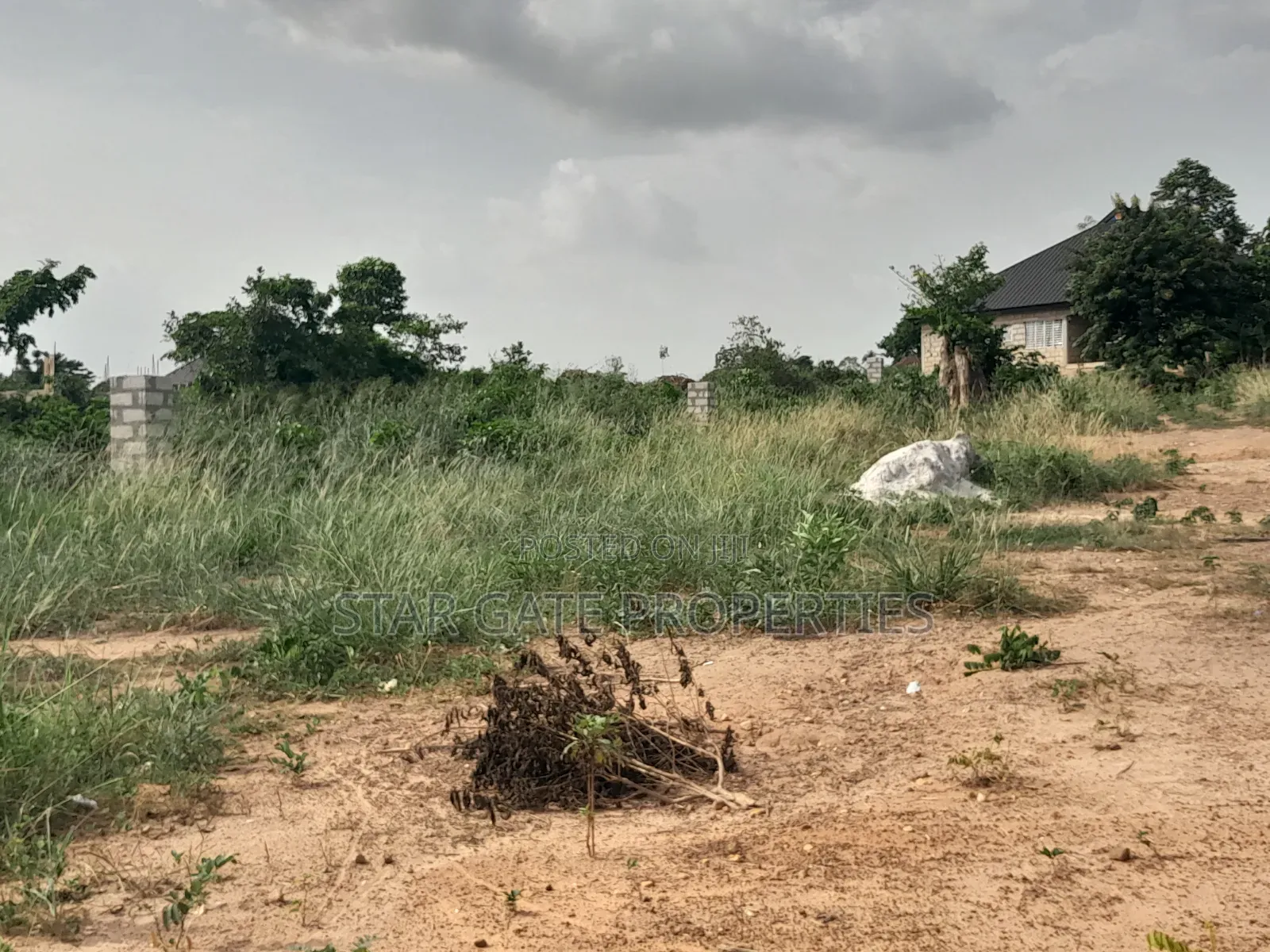 4 Plots ( 1 Acre Land) for Sale at Sewua.